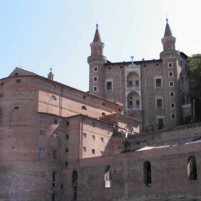 Urbino