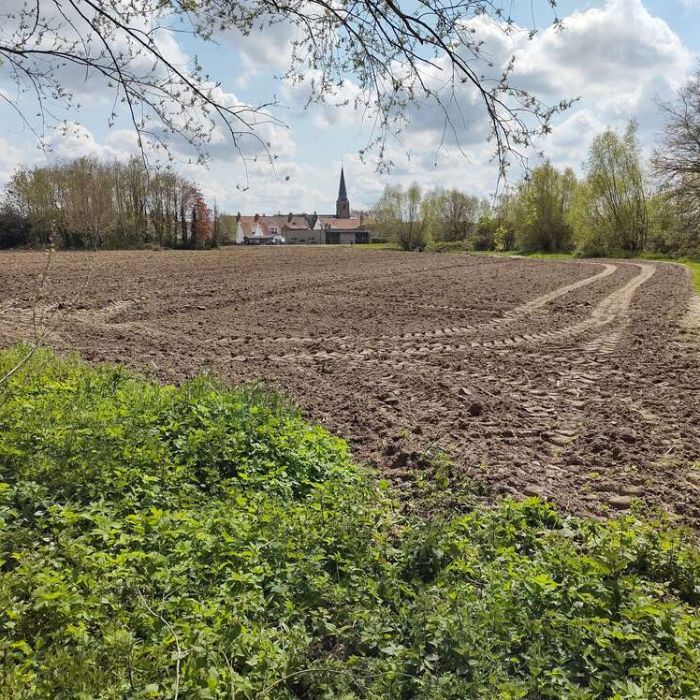 Waardamme