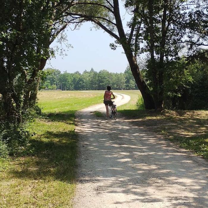 Loire – 19/07/21