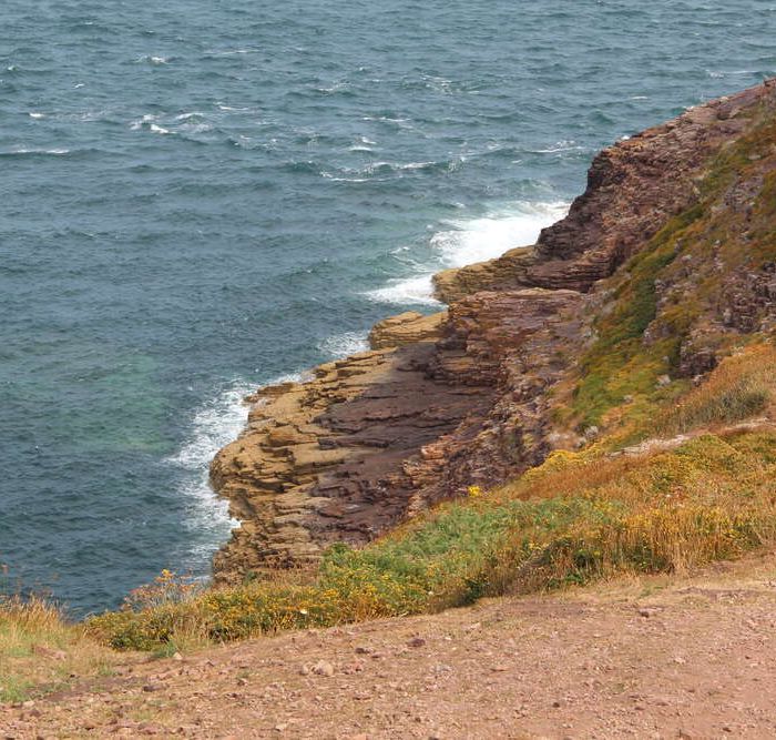 Cap Fréhel