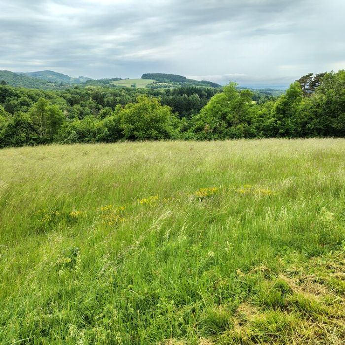 Wandeling vanuit Cuiseaux