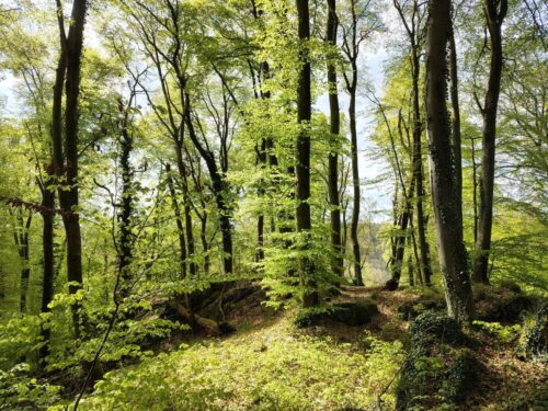 G.H. Luxemburg - 20/04/2026